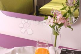 Boutique hotel u tradicionalnom Istarskom stilu, Ližnjan, Propiedad comercial