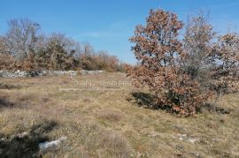 Višnjan, Zoričići - Zemljište, 19190 m2, Višnjan, Земля