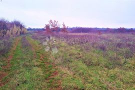 Građevinsko zemljište u blizini mora, Umag, Terreno