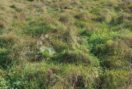 Građevinsko zemljište s pravomoćnom građevinskom dozvolom, Svetvinčenat, Land