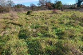 Građevinsko zemljište s pravomoćnom građevinskom dozvolom, Svetvinčenat, Land