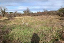 Građevinsko zemljište s pravomoćnom građevinskom dozvolom, Svetvinčenat, Terrain