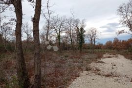 Zemljište na lijepoj lokaciji 2km od mora, Vodnjan, أرض