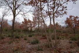 Zemljište na lijepoj lokaciji 2km od mora, Vodnjan, Land