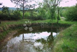 ISTRA,IMPOZANTNO IMANJE SA DVIJE KAMENE KUĆE, Lupoglav, Casa