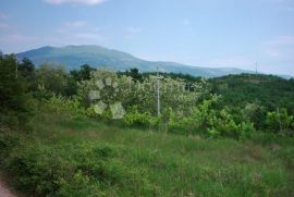 ISTRA,IMPOZANTNO IMANJE SA DVIJE KAMENE KUĆE, Lupoglav, Casa