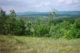 ISTRA,IMPOZANTNO IMANJE SA DVIJE KAMENE KUĆE, Lupoglav, Casa