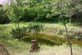 ISTRA,IMPOZANTNO IMANJE SA DVIJE KAMENE KUĆE, Lupoglav, Casa