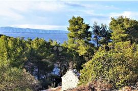 Teren u blizini mora s pogledom na Hvar, Vela Luka, Terra