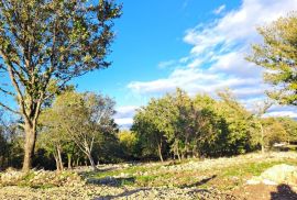 Otok Krk, Šilo -  Očišćeno, ravno poljoprivredno zemljište, buduće građevinsko, 600m do prekrasnih plaža, mora i supermarketa s pristupnim putem !, Dobrinj, Zemljište