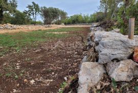 Otok Krk, Šilo -  Očišćeno, ravno poljoprivredno zemljište, buduće građevinsko, 600m do prekrasnih plaža, mora i supermarketa s pristupnim putem !, Dobrinj, Zemljište