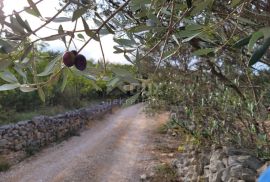 Otok Krk, Šilo -  Očišćeno, ravno poljoprivredno zemljište, buduće građevinsko, 600m do prekrasnih plaža, mora i supermarketa s pristupnim putem !, Dobrinj, Zemljište