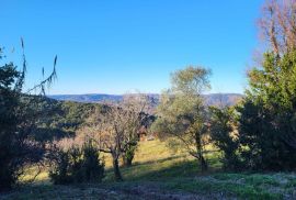 ISTRA, MOTOVUN - Samostojeća kamena starina s pogledom na Motovun i glavnim projektom za obnovu, Motovun, Casa