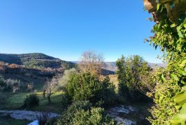 ISTRA, MOTOVUN - Samostojeća kamena starina s pogledom na Motovun i glavnim projektom za obnovu, Motovun, Casa