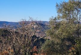 ISTRA, MOTOVUN - Samostojeća kamena starina s pogledom na Motovun i glavnim projektom za obnovu, Motovun, Casa