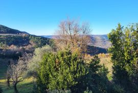 ISTRA, MOTOVUN - Samostojeća kamena starina s pogledom na Motovun i glavnim projektom za obnovu, Motovun, Casa