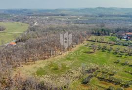 Buje, okolica! Prostrano zemljište sa potencijalom za investiciju, Buje, Γη