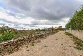 Marčana, okolica, prostrano zemljište za izgradnju više objekata, Marčana, Land