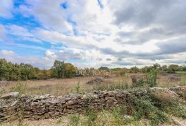 Marčana, okolica, prostrano zemljište za izgradnju više objekata, Marčana, Land