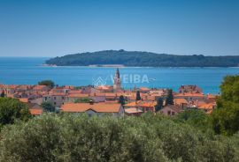 Istra, Fažana, vrhunska vila na osami, okružena prirodom, 1 km od plaže, Fažana, Casa