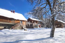 Prodaja ekskluzivne kuće kraj Vrbovskog  270 m2 na okućnici od 6800m2, Vrbovsko, Famiglia