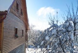 Prodaja ekskluzivne kuće kraj Vrbovskog  270 m2 na okućnici od 6800m2, Vrbovsko, Kuća