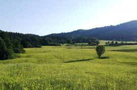 Imanje sa kućom i dvije starine, Boljun, Istra, Lupoglav, House