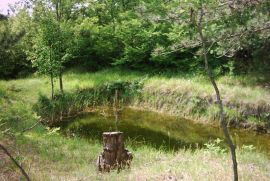 Imanje sa kućom i dvije starine, Boljun, Istra, Lupoglav, House