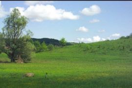 Imanje sa kućom i dvije starine, Boljun, Istra, Lupoglav, House