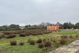 Istra, poljoprivredno zemljište  4400 m2, prvi red do mora - legalizirani objekt, Vodnjan, Terra