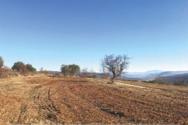 Građevinsko zemljište sa kamenom kućom, Grožnjan, Istra, Grožnjan, Земля