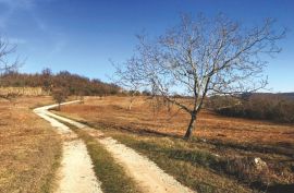 Građevinsko zemljište sa kamenom kućom, Grožnjan, Istra, Grožnjan, Земля