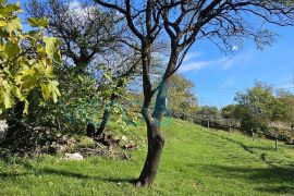 Crikvenica, Bribir- imanje sa 2 kuće i parcelom od 1778m2, prodaja, Vinodolska Općina, House