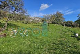 Crikvenica, Bribir- imanje sa 2 kuće i parcelom od 1778m2, prodaja, Vinodolska Općina, House