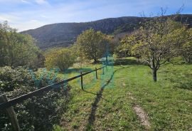 Crikvenica, Bribir- imanje sa 2 kuće i parcelom od 1778m2, prodaja, Vinodolska Općina, House