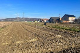 Slavonski Brod, Terreno