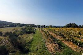 P R I L I K A ! VELIKO POLJOPRIVREDNO ZEMLJIŠTE, Labin, Terreno