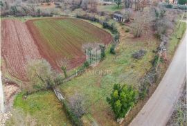 Svetvinčenat, okolica, zemljište na rubu naselja, Svetvinčenat, Terrain