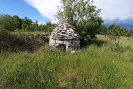 ISTRA, SVETVINČENAT - Poljoprivredno zemljište 24600 m2, Svetvinčenat, أرض