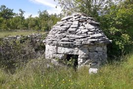 ISTRA, SVETVINČENAT - Poljoprivredno zemljište 24600 m2, Svetvinčenat, أرض