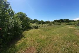 ISTRA, SVETVINČENAT - Poljoprivredno zemljište na rubu urbanizacije, Svetvinčenat, Tierra