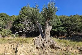 OTOK RAB, MUNDANIJE - Građevinsko zemljište s jedinstvenim pogledom na grad, Rab, Γη