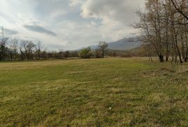 Poljoprivredno zemljište na 13 km od Podgorice, Podgorica, Terrain