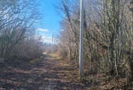 ISTRA,BARBAN- građevinsko i poljoprivredno zemljište!, Barban, Terrain