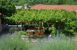 Bribir, kompleks od dvije vile sa teniskim terenom, Vinodolska Općina, Casa