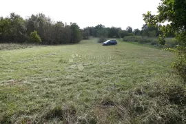 Prostrano kombinirano zemljište s građevinskom dozvolom, Svetvinčenat, Terreno