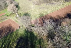 Veliko građevinsko zemljište u okolici Barbana, Barban, Terra