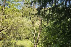 Zemljište sa pomoćnom zgradom i nadstrešnicom, Sveti Ilija, Land