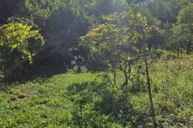 Zemljište sa pomoćnom zgradom i nadstrešnicom, Sveti Ilija, Land