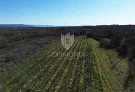 Veliko građevinsko zemljište u srcu Istre, Barban, Tierra